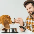 Pourquoi est-ce important de prêter une attention à l’alimentation de votre chien ?