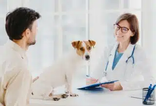 Les 5 critères incontournables pour choisir la meilleure assurance pour votre chien