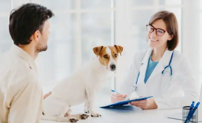 Les 5 critères incontournables pour choisir la meilleure assurance pour votre chien