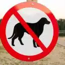 Attention au chien : un avertissement ancré, indispensable ?