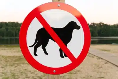 Attention au chien : un avertissement ancré, indispensable ?